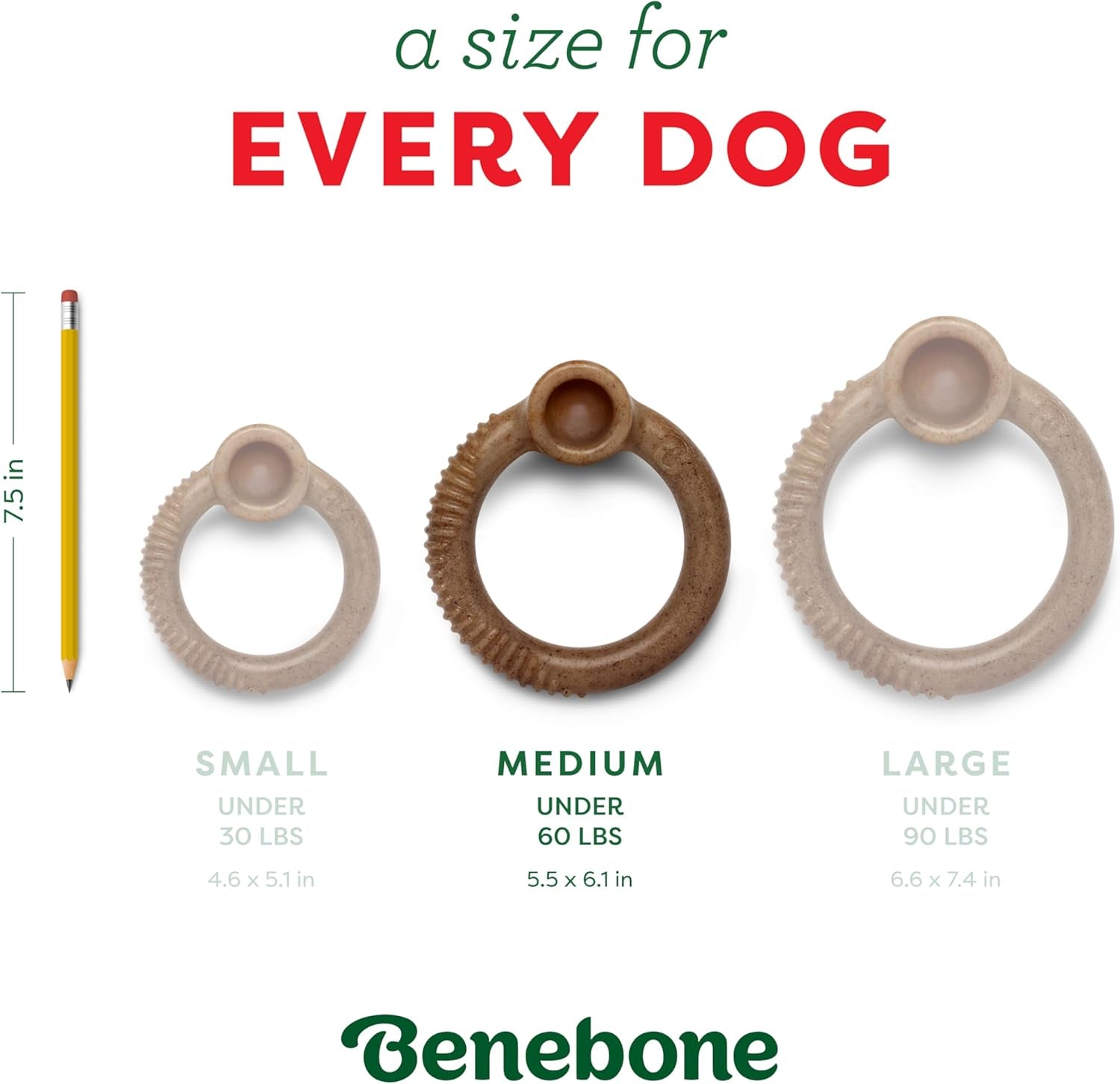 Ring Dog Chew Toy for Aggressive Chewers, Peppermint, Medium