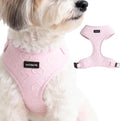 No Pull Harness for Small Sized Dog - Lightweight Breathable Neoprene Harnesses, Cute Heart Pattern, Adjustable Vest with Secure Back D-Ring, Soft Padded - Neck (13" - 17") Chest (16" - 21")