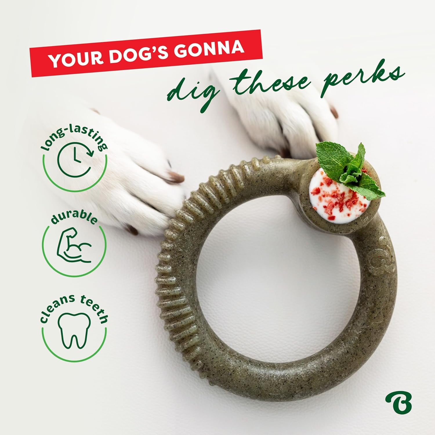 Ring Dog Chew Toy for Aggressive Chewers, Peppermint, Medium
