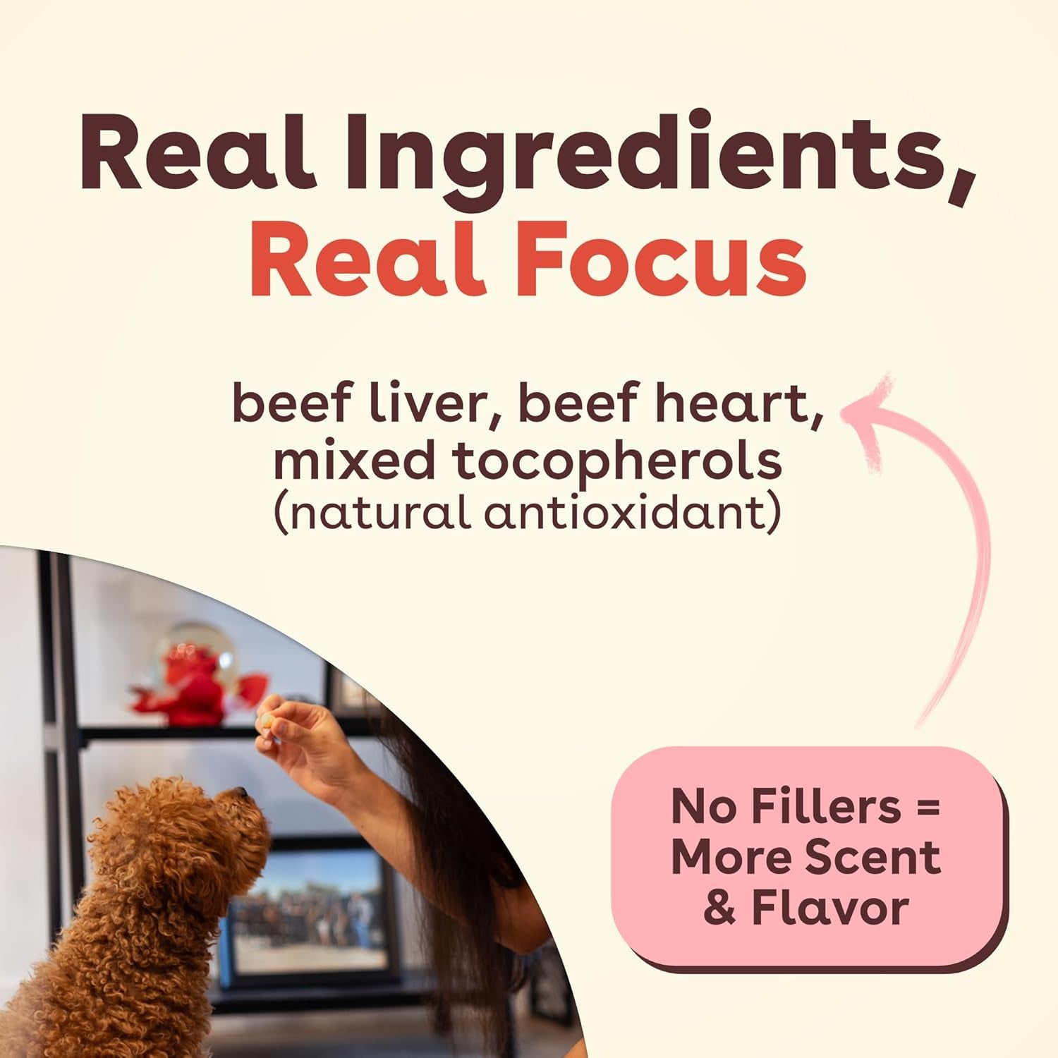 Freeze Dried Training Treats for Dogs & Puppies, 475+ Three Ingredient Bites (Beef Liver, 4 Oz)
