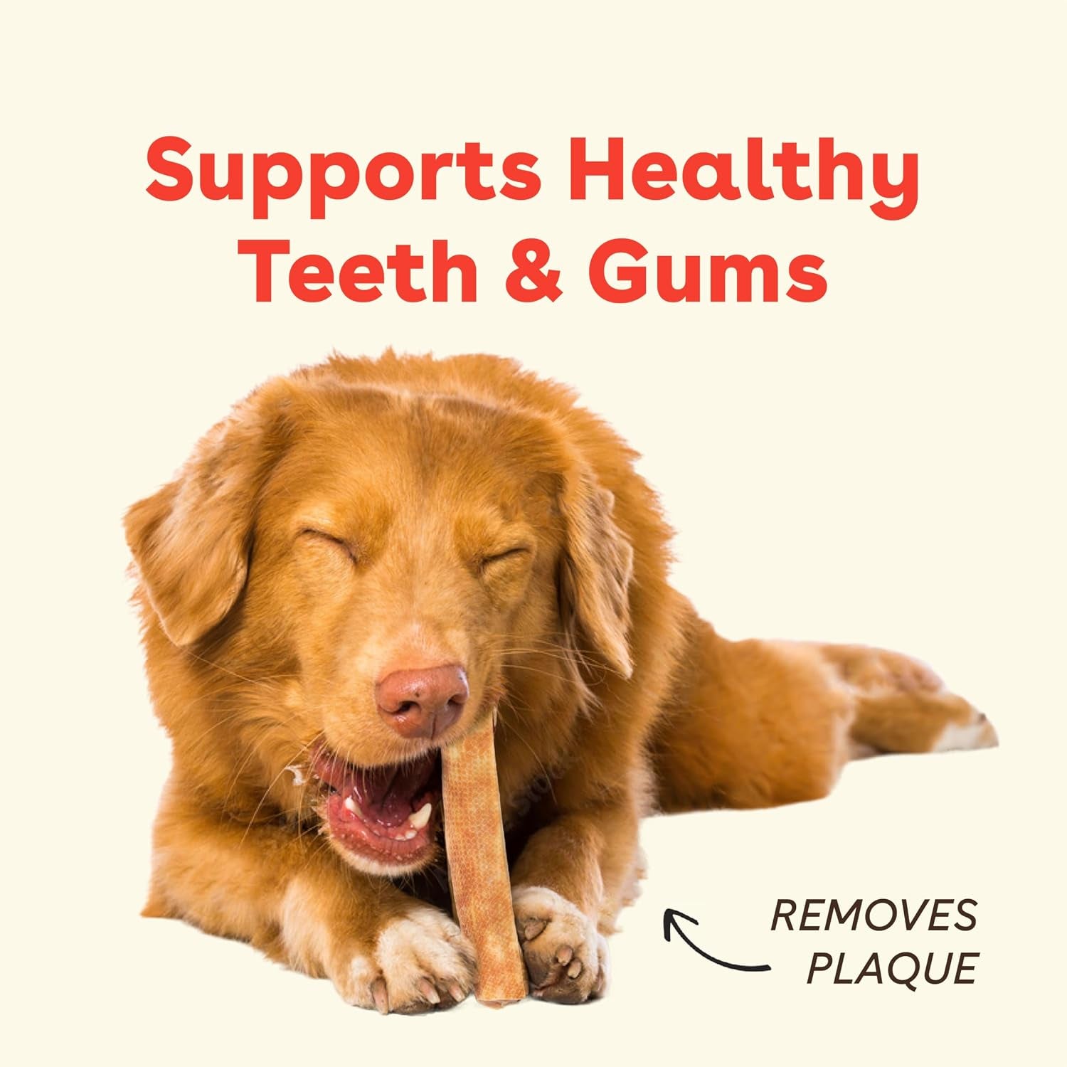 Yak Cheese Chews for Dogs & Teething Puppies, Natural, Long-Lasting Himalayan Dental Treats (3 Pack Small)