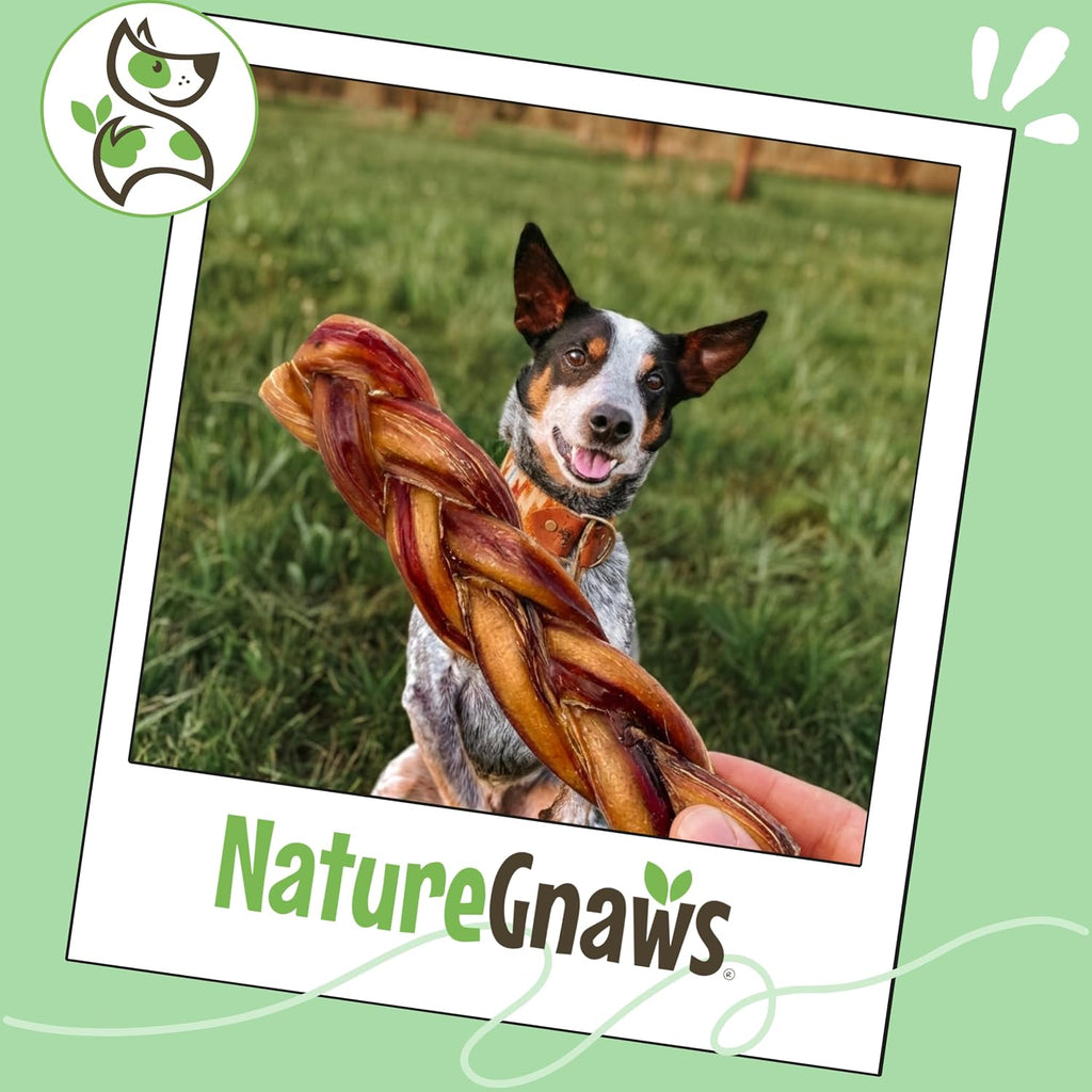 Braided Bully Sticks for Dogs 5-6" (3 Count) - Long Lasting for Small and Medium Dogs - Natural Beef Dog Chew Bones - Rawhide Free
