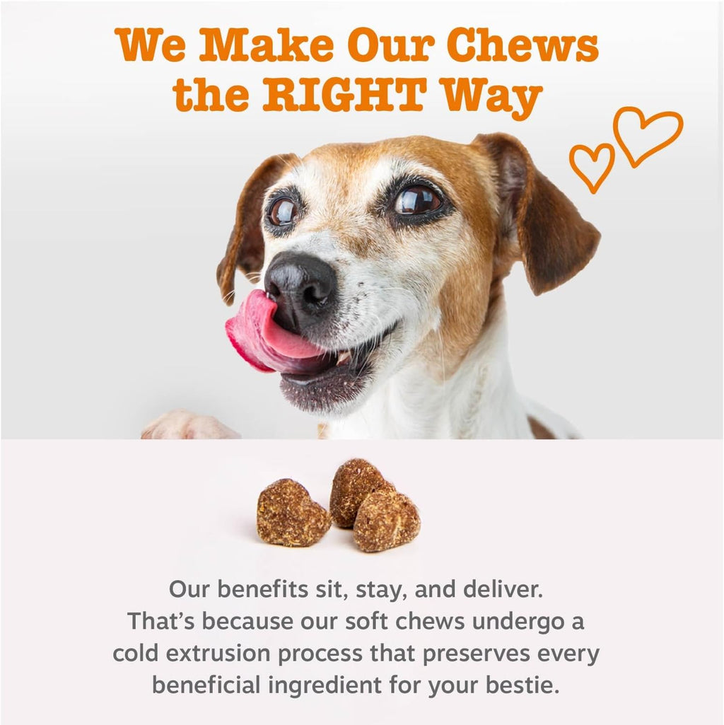 Zesty Paws Dog Multivitamin, Chewable Dog Vitamins and Supplements for Hip & Joints, Skin & Coat, Omega 3 Fish Oil for Dogs- Puppy Multivitamin - Chicken Puppy Bites- 90Ct