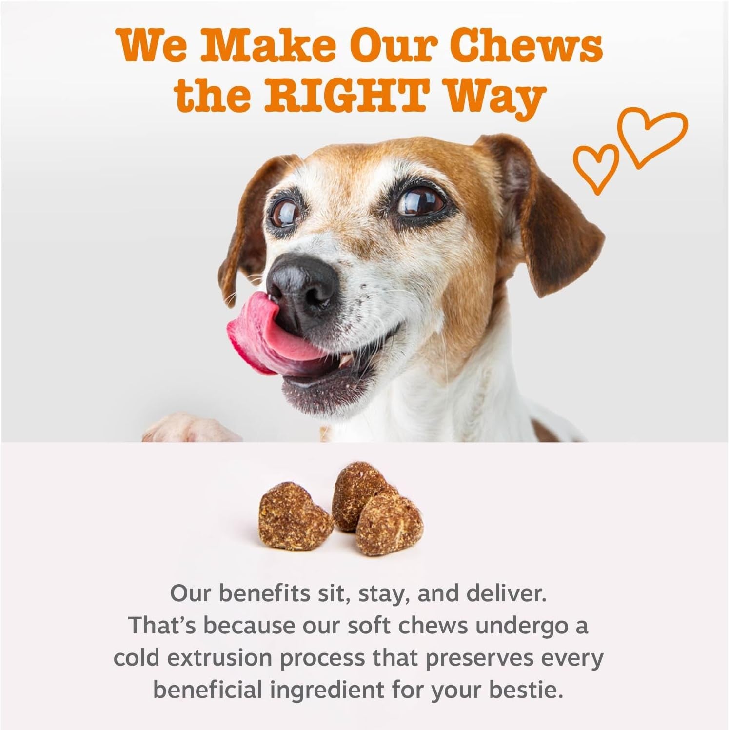 Zesty Paws Dog Multivitamin, Chewable Dog Vitamins and Supplements for Hip & Joints, Skin & Coat, Omega 3 Fish Oil for Dogs- Puppy Multivitamin - Chicken Puppy Bites- 90Ct