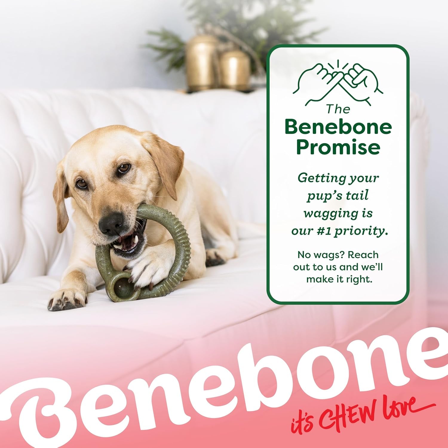 Ring Dog Chew Toy for Aggressive Chewers, Peppermint, Medium