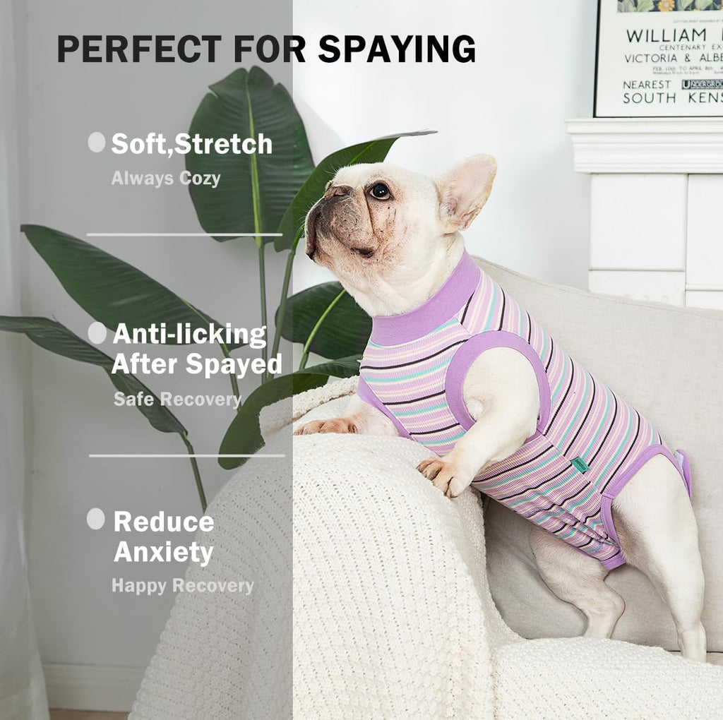 Sebdtico Recovery Suit for Dogs,Dog Surgery Suit Female Spay,Soft Dog Onesie for Surgery Female,Dog Cone Alternative Surgical Recovery Suit Female,Abdominal Wounds Licking anti Suit for Dogs