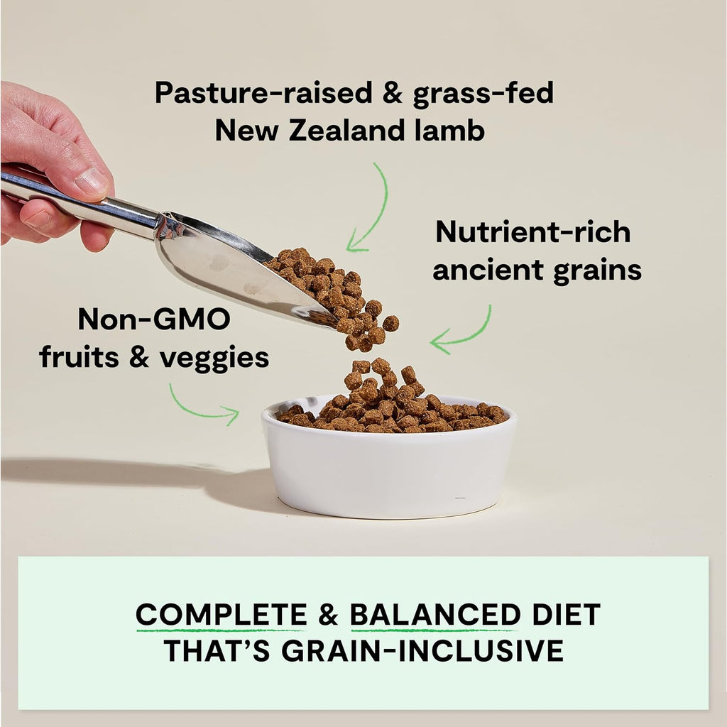 Ancient Grains Dry Dog Food, Pasture Raised Lamb Kibble, 22Lb Bag | All Life Stages, All Breed Sizes, Protein-Rich & Nutrient Dense, 100% Traceable Ingredients, Non-Gmo Fruits & Veggies.