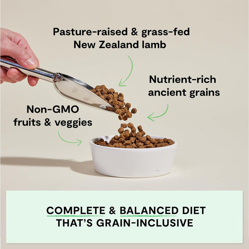 Ancient Grains Dry Dog Food, Pasture Raised Lamb Kibble, 22Lb Bag | All Life Stages, All Breed Sizes, Protein-Rich & Nutrient Dense, 100% Traceable Ingredients, Non-Gmo Fruits & Veggies.