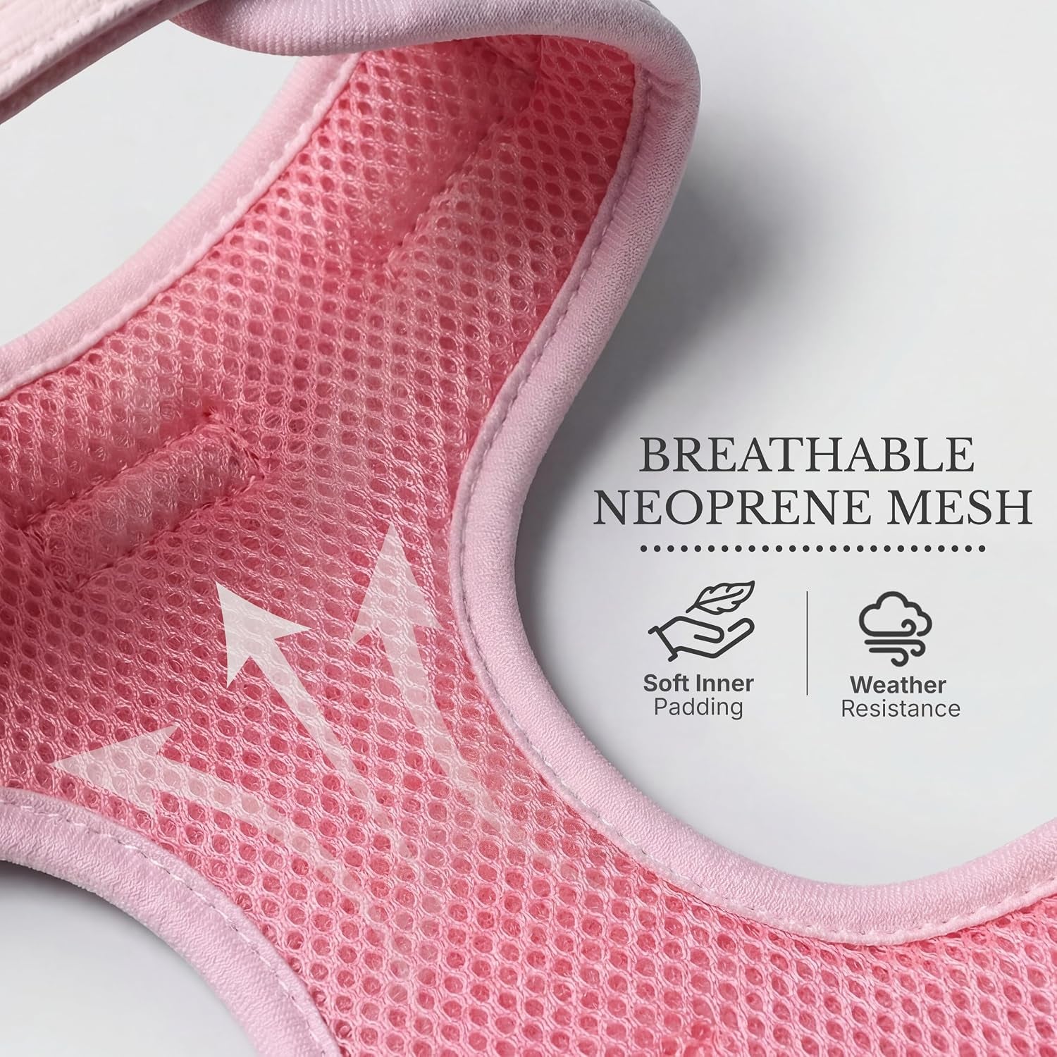 No Pull Harness for Small Sized Dog - Lightweight Breathable Neoprene Harnesses, Cute Heart Pattern, Adjustable Vest with Secure Back D-Ring, Soft Padded - Neck (13" - 17") Chest (16" - 21")