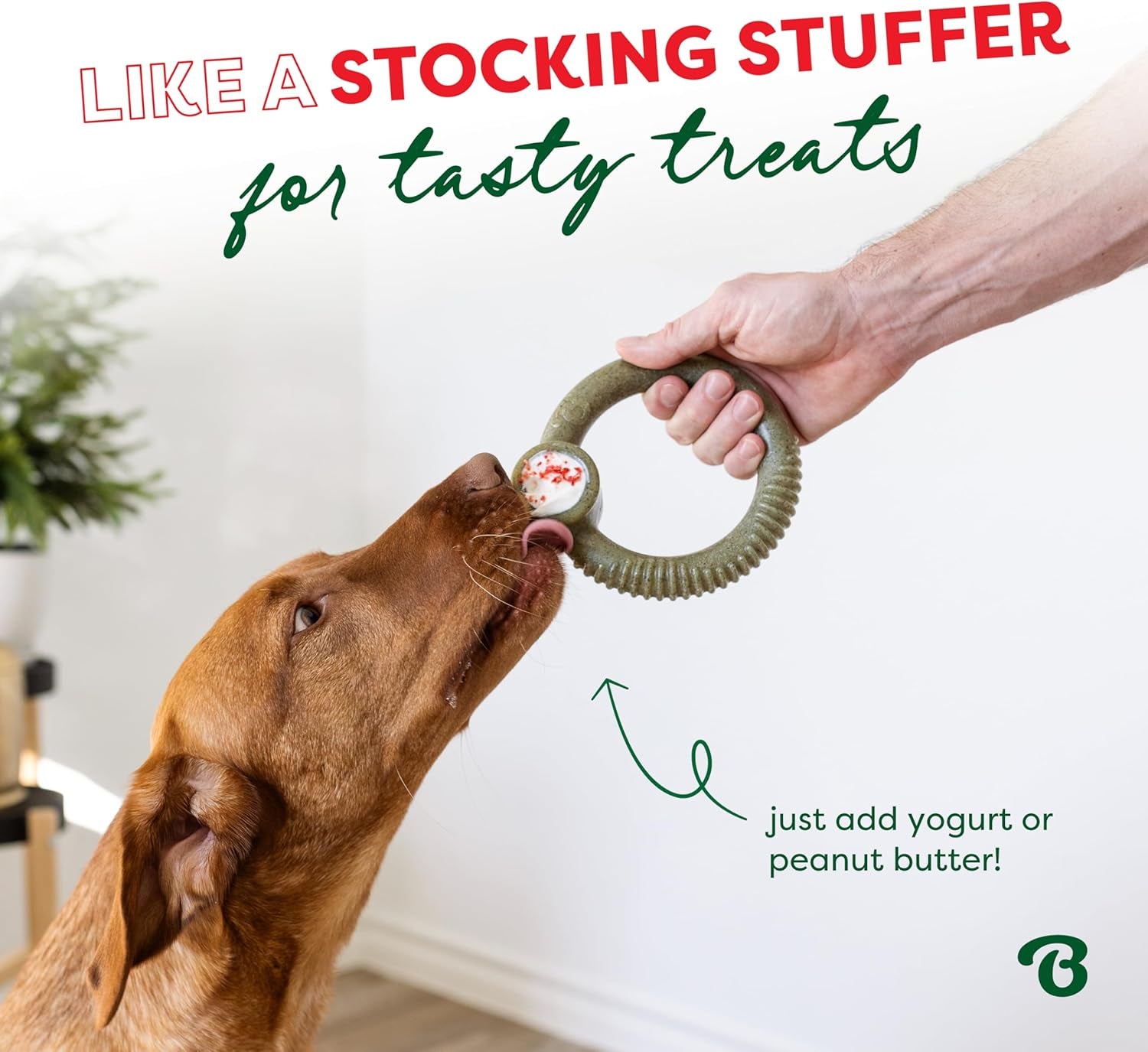 Ring Dog Chew Toy for Aggressive Chewers, Peppermint, Medium