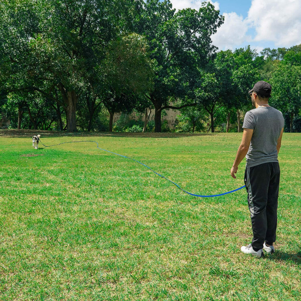Dog/Puppy Obedience Recall Training Agility Lead - 15Ft 20Ft 30Ft 50Ft 100Ft Leash - Great for Play, Camping, or Backyard - Black