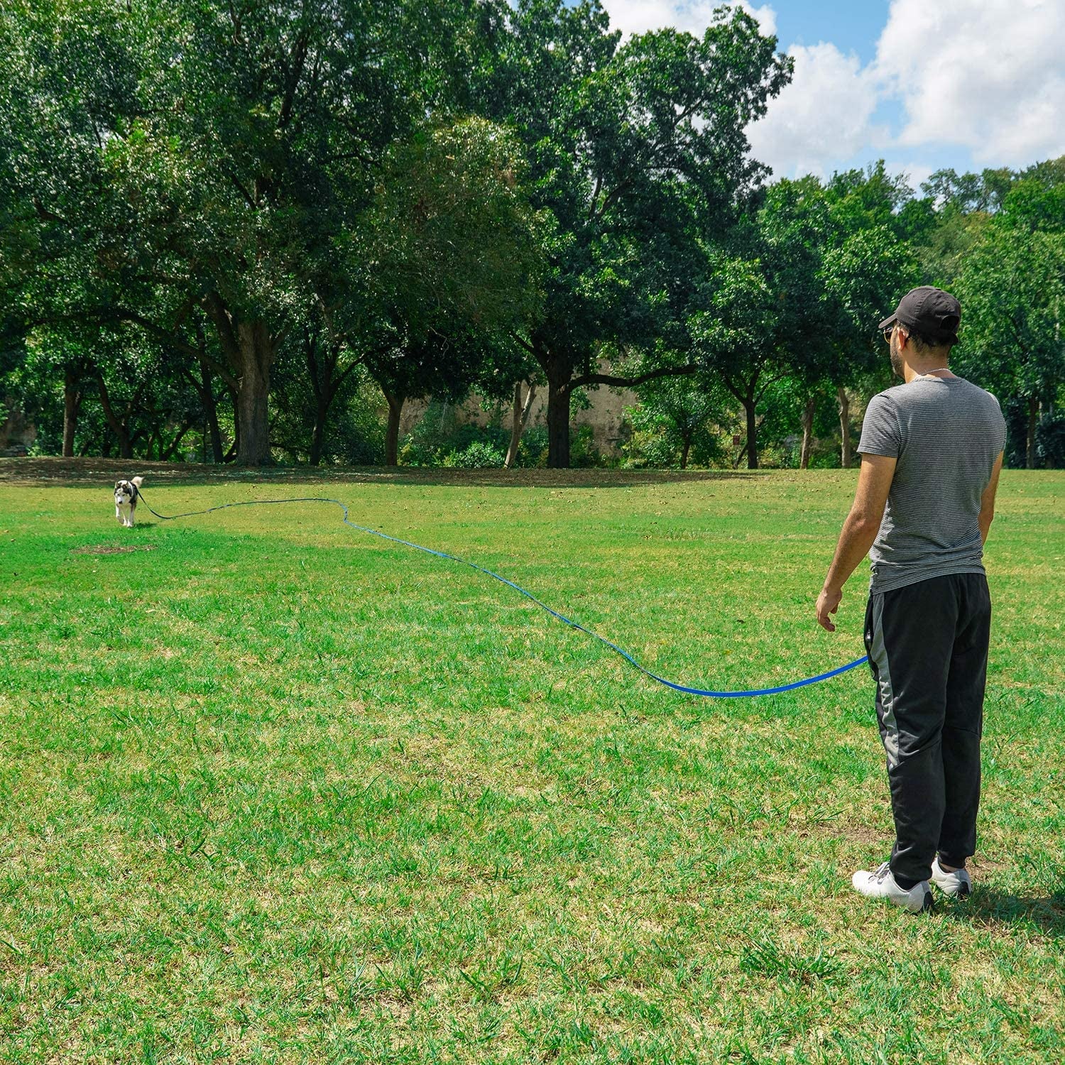 Dog/Puppy Obedience Recall Training Agility Lead - 15Ft 20Ft 30Ft 50Ft 100Ft Leash - Great for Play, Camping, or Backyard - Black